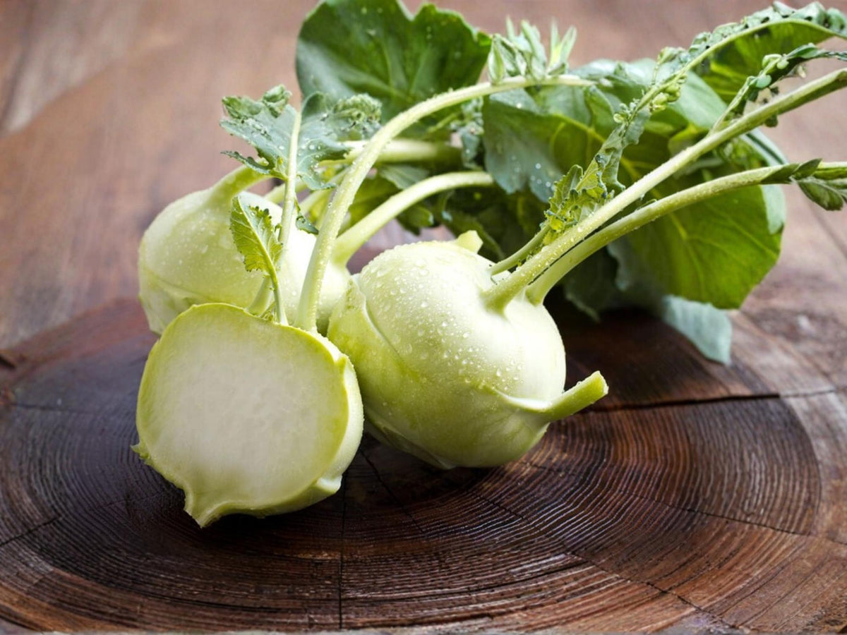 White Vienna Kohlrabi Seeds – Heirloom Vegetable, Easy to Grow, Garden Crop, Fresh Eating, Container, 100 Seeds