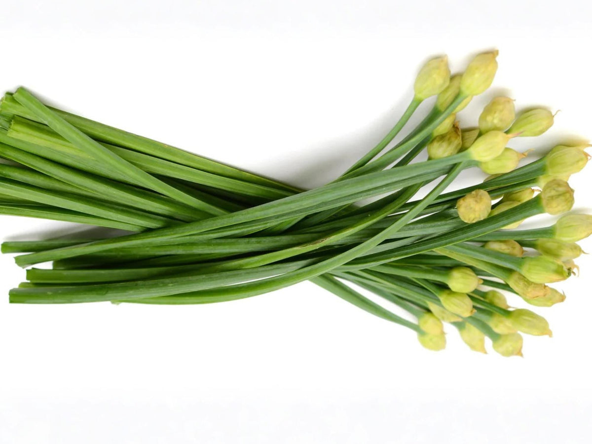 Chinese Flowering Leek Seeds – 100 Non-GMO Garlic Chive Flower Stalks for Asian Vegetable Gardens and Container Growing