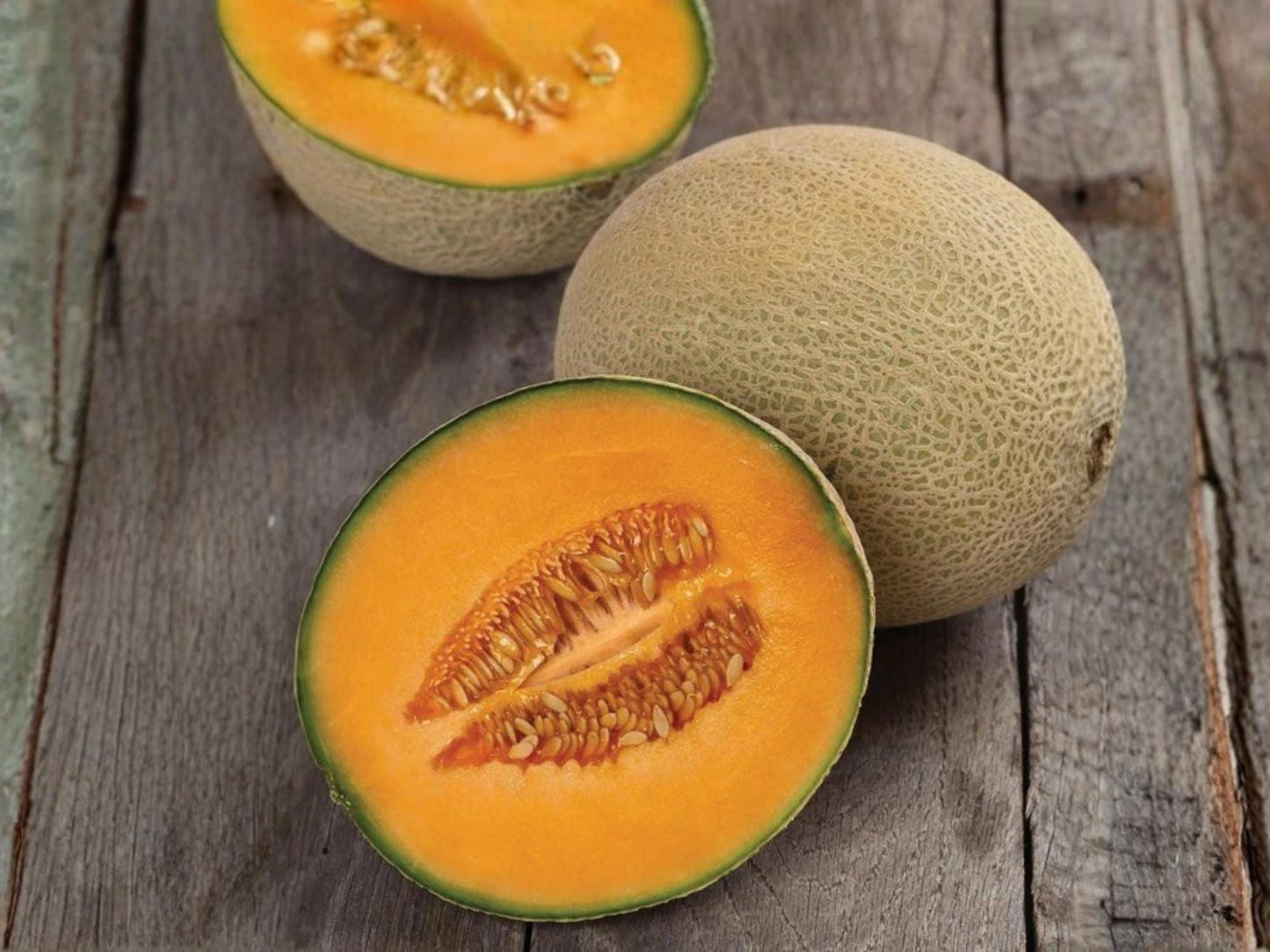 Heirloom Cantaloupe Seeds | Hale’s Jumbo Melon | Sweet Orange Flesh | Heirloom Melon Variety (50 Seeds)