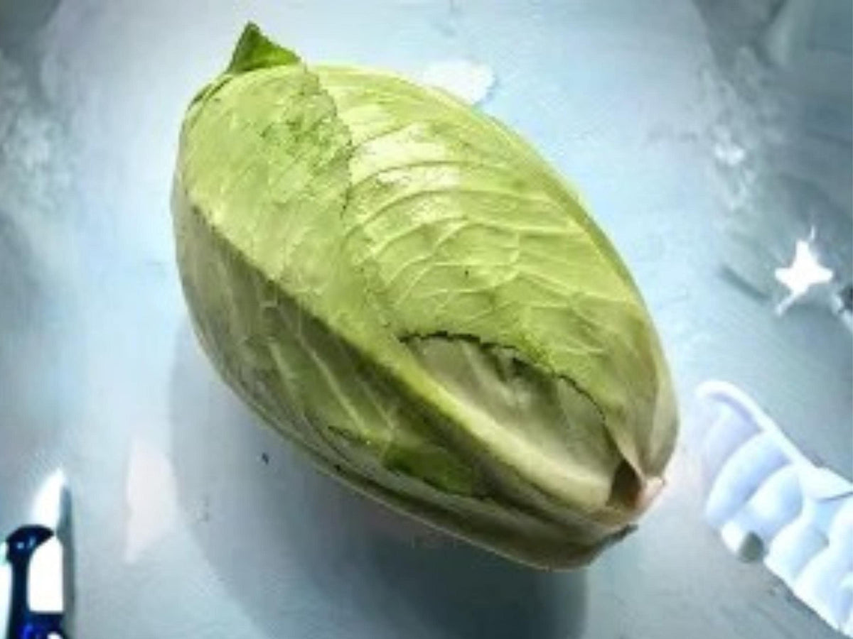 Early Jersey Wakefield Cabbage Seeds – Heirloom, Cold Hardy, Pointed Heads, 500 Seeds