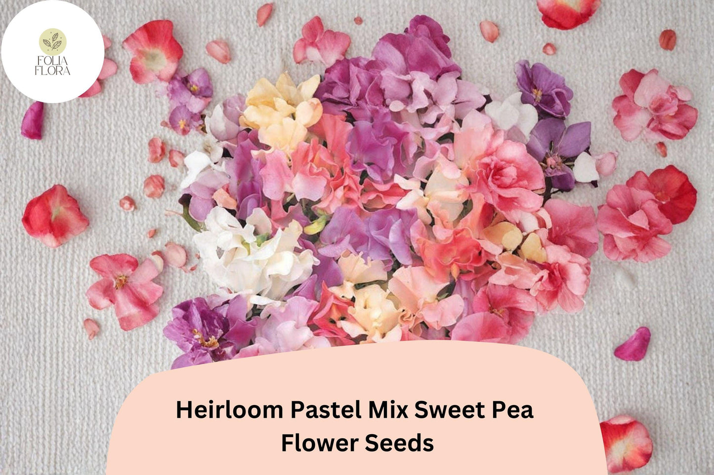 Heirloom Pastel Mix Sweet Pea Seeds | Climbing Flower Seeds | Lathyrus odoratus | Garden, Cottage, Cut Flower