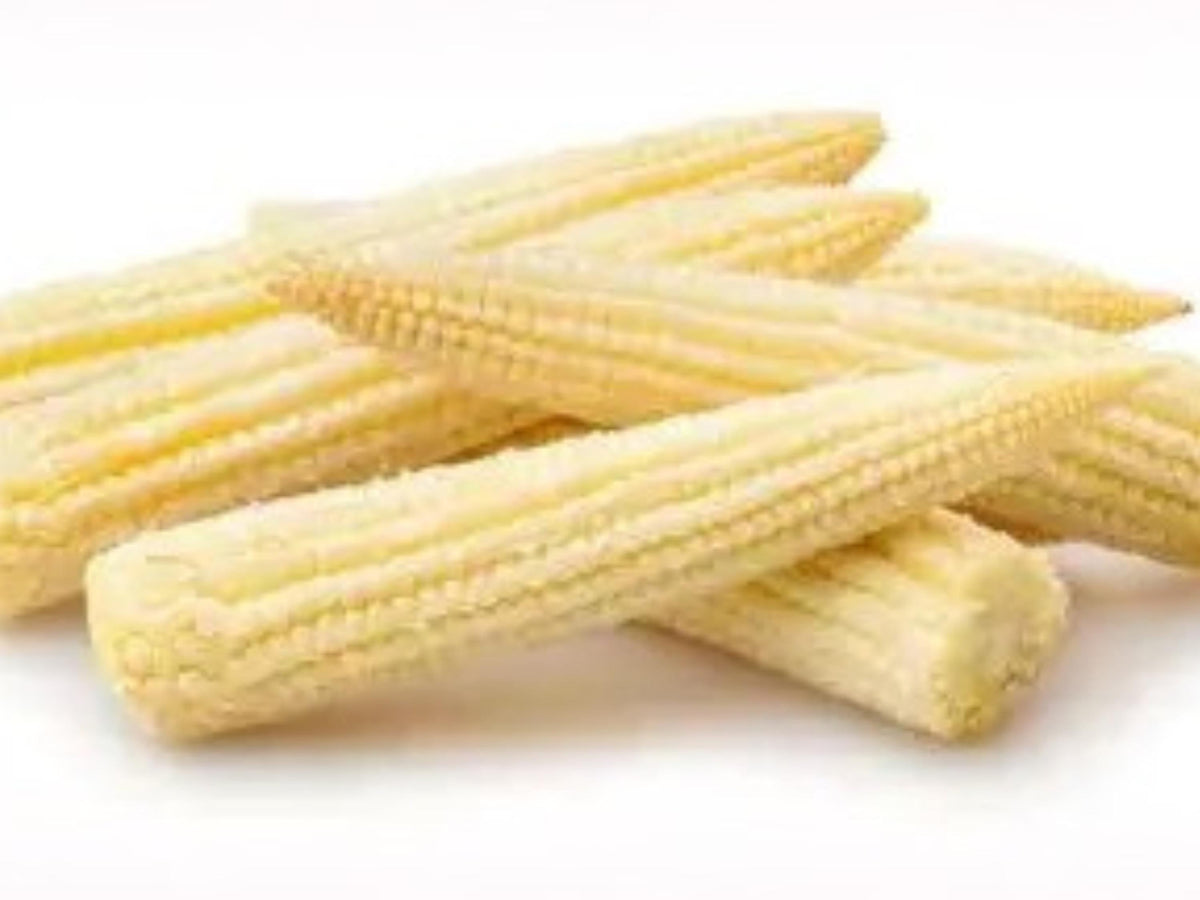 Japanese Hulless White Popcorn Seeds | Heirloom, Tender Hulls, Dual-Use Baby Corn & Popcorn, White Kernels, Open-Pollinated