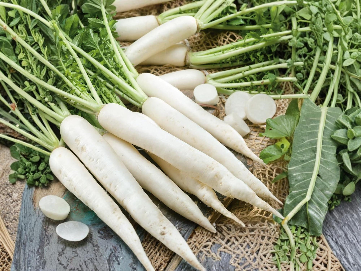 Japanese Minowase Daikon Radish Seeds – Long White Heirloom Non-GMO Vegetable Seeds for Home Gardens, Pickling & Cooking