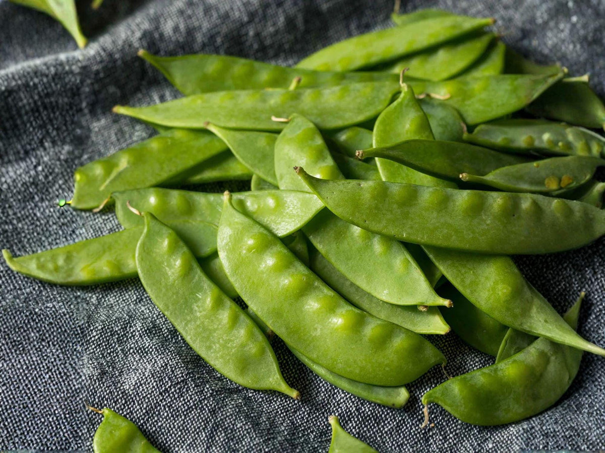Dwarf Sugar Grey Snow Pea Seeds – Heirloom Edible Pod, Compact Bush, Sweet Flavor, Cool-Season Pea, 50 Seeds