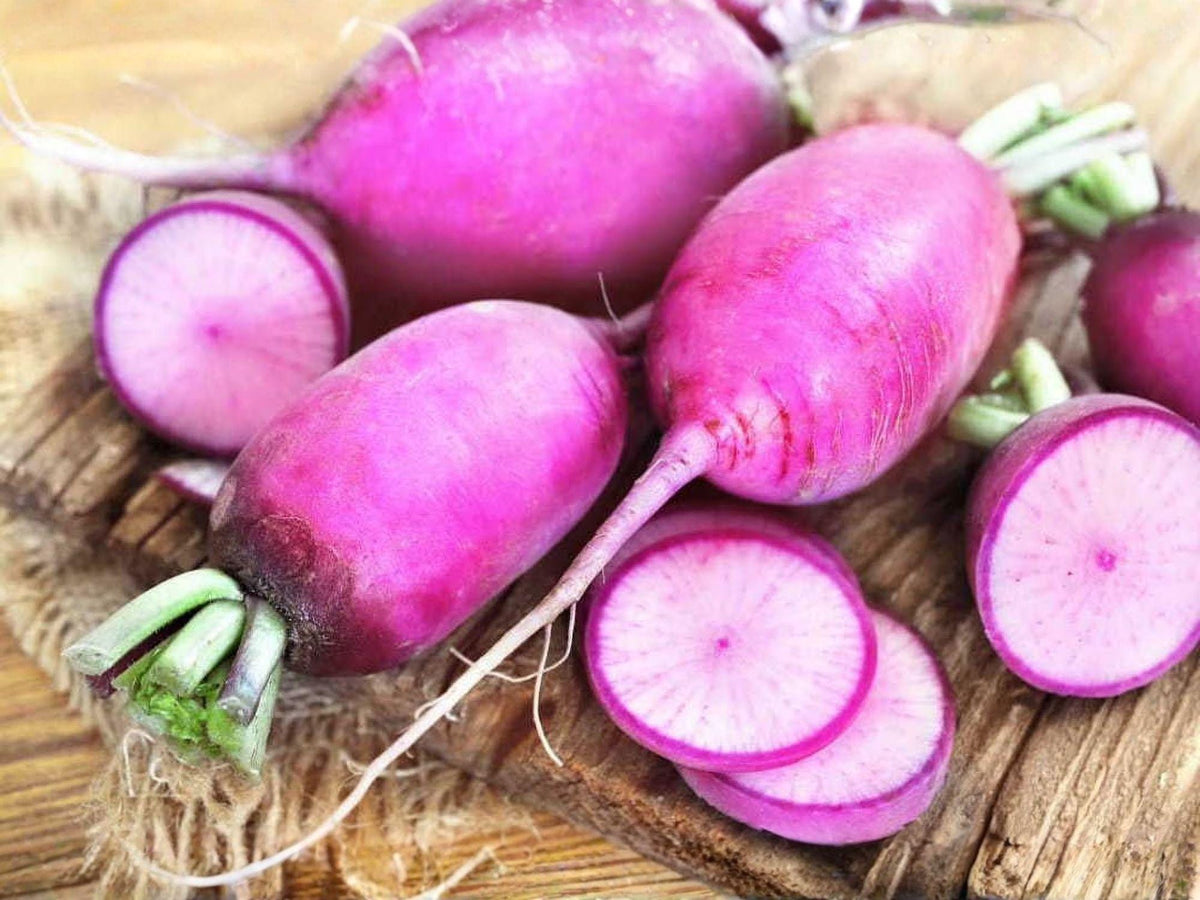 Triton Purple Stem Radish Seeds – Fast Growing Edible Greens & Roots, Cool-Season Vegetable, Raphanus sativus