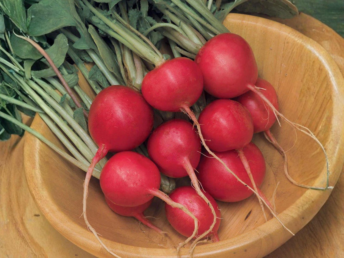 Cherry Belle Radish Seeds – Heirloom Red, Fast Growing, Crisp Roots, 100 Seeds