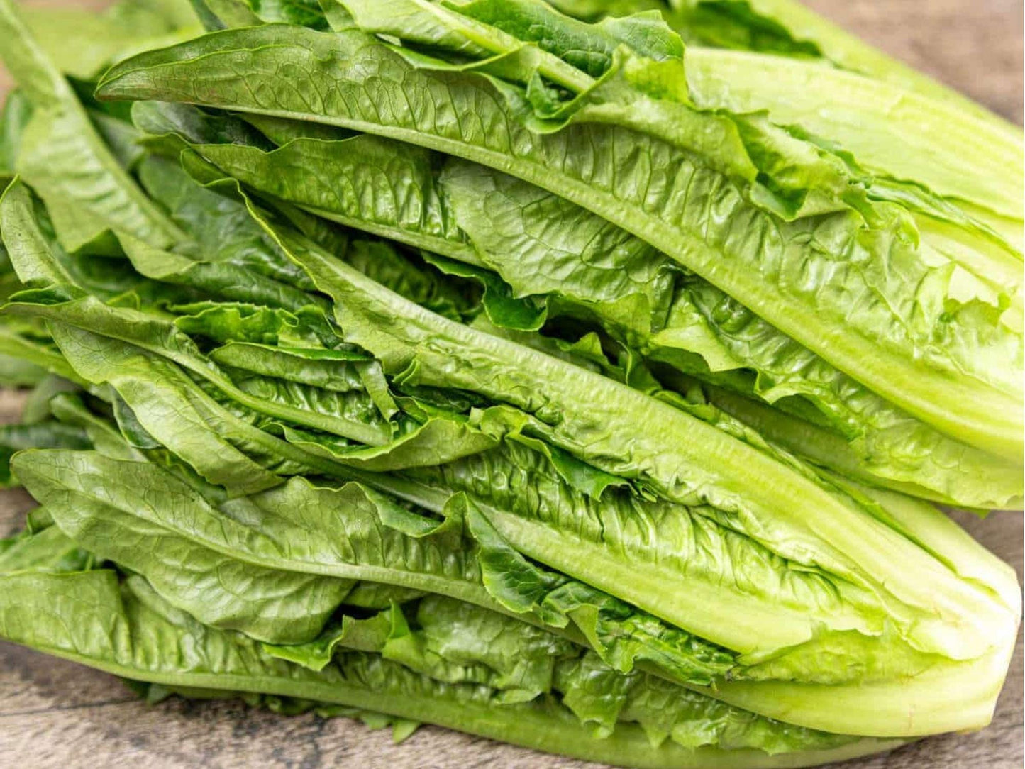 Asparagus Lettuce Seeds – 200 Yu Mai Chinese Celtuce, Asian Vegetable, Crisp Stems & Tender Leaves, Non-GMO, Fast-Growing