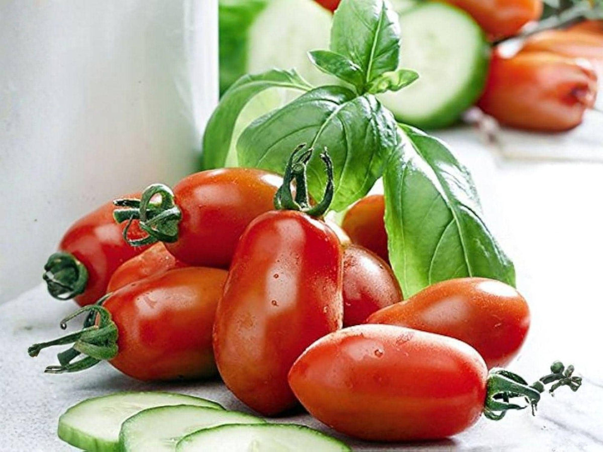 San Marzano Tomato Seeds – Heirloom Italian Paste, Indeterminate, 30 Seeds for Sauce & Canning