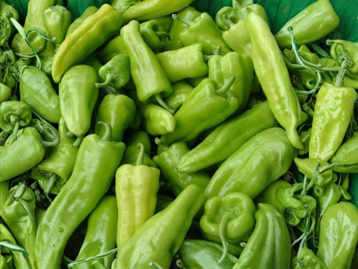 Cubanelle Sweet Pepper Seeds – Italian Frying Pepper, Mild Vegetable Seeds, Heirloom Garden, 25 Seeds