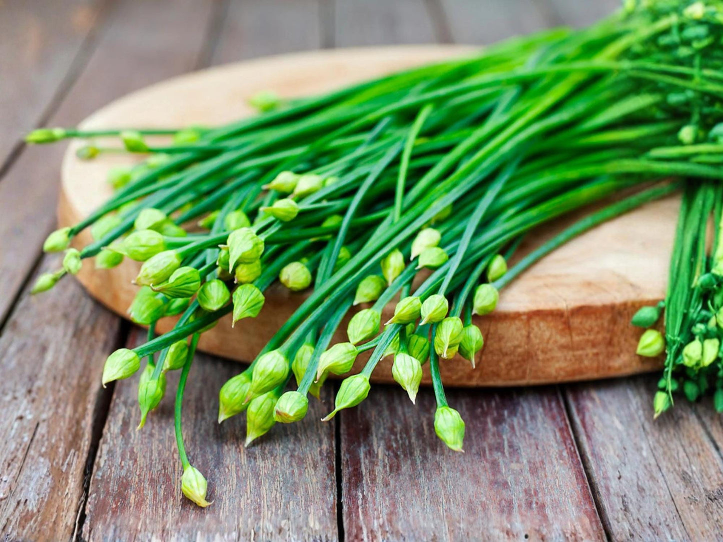 Garlic Chives Herb Seeds – 100 Non-GMO Asian Chives, Allium tuberosum, Easy to Grow for Culinary & Herb Gardens