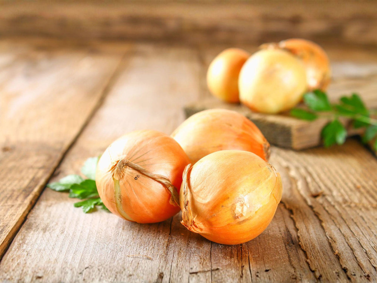Utah Yellow Sweet Spanish Onion Seeds – Heirloom, Mild Flavor, Large Yellow Bulbs, Vegetable Seeds, Allium cepa