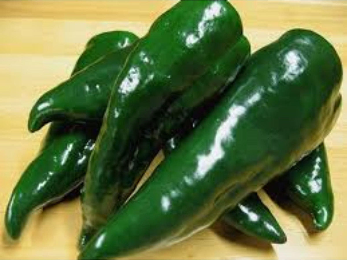 Ancho Poblano Pepper Seeds – Heirloom Mild Hot Chili for Roasting, Stuffing & Grilling – 25 Seeds