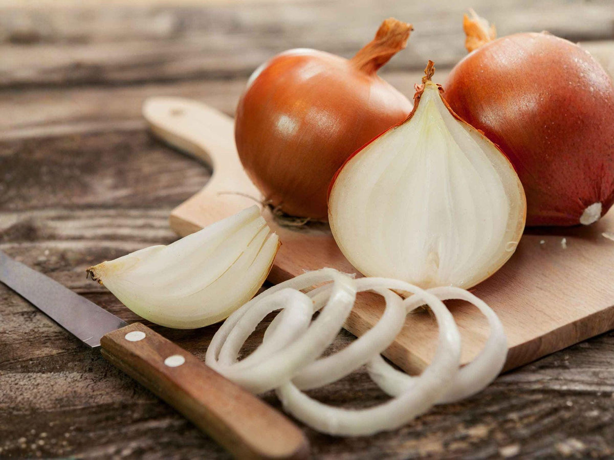 Ringmaster Onion Seeds – 50 Long Day Vegetable Seeds for Home Garden, Reliable Onions, Bulb, Cooking & Storage