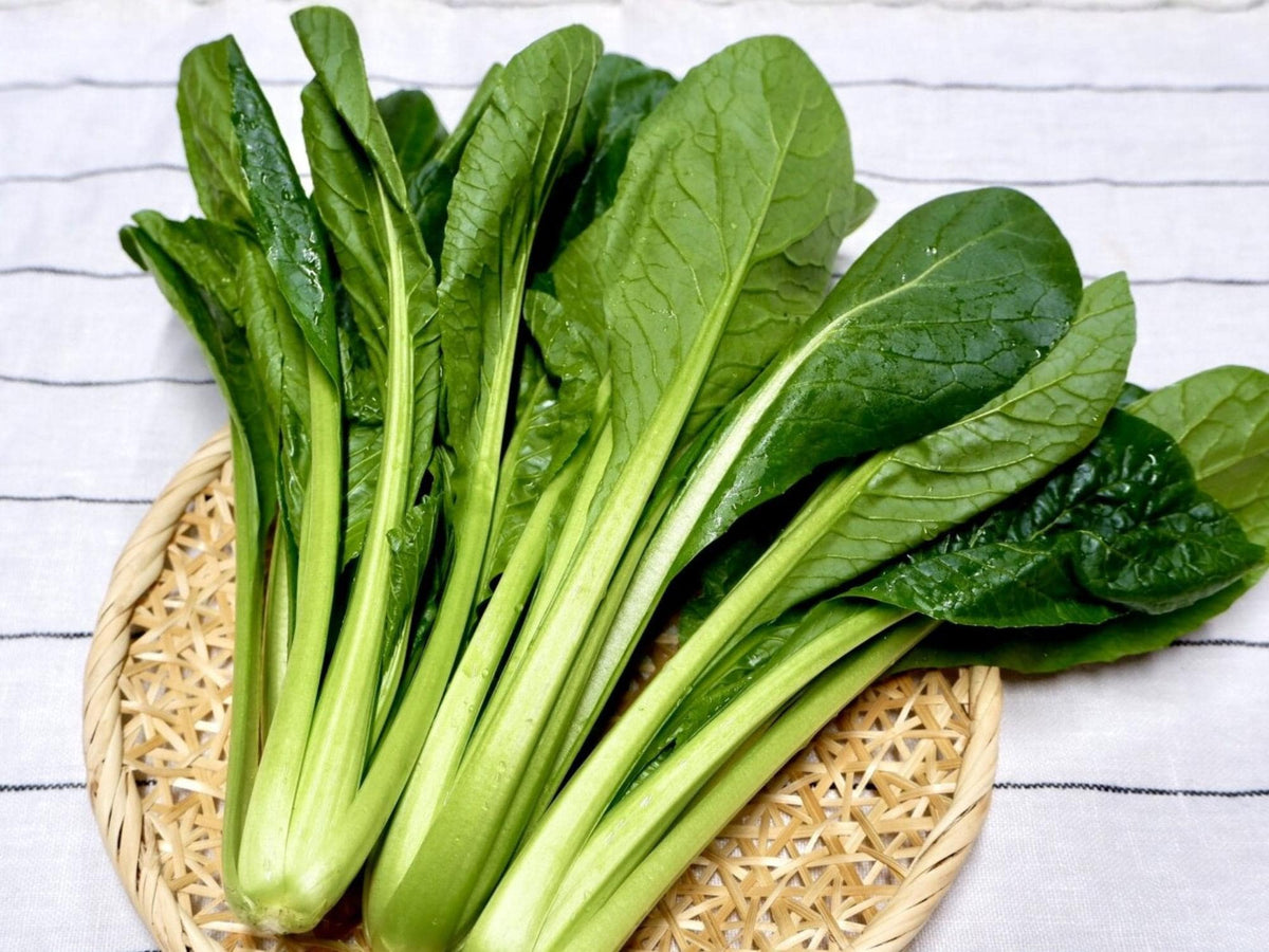 Komatsuna Tendergreen Mustard Spinach Seeds – Fast-Growing Asian Leafy Green, 500 Seeds, Cool-Season, Non-GMO