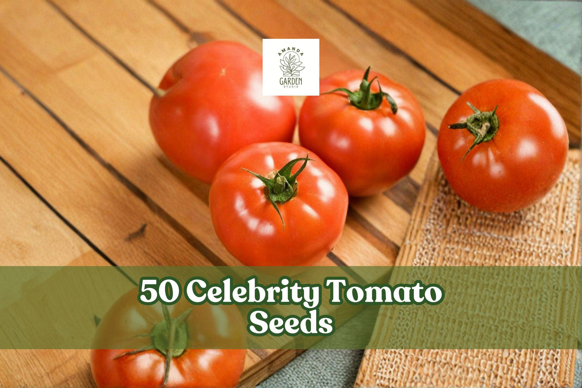 50 Celebrity Tomato Seeds – Hybrid, Early-Season, Medium-Sized, Disease-Resistant Solanum lycopersicum Vegetable Seeds