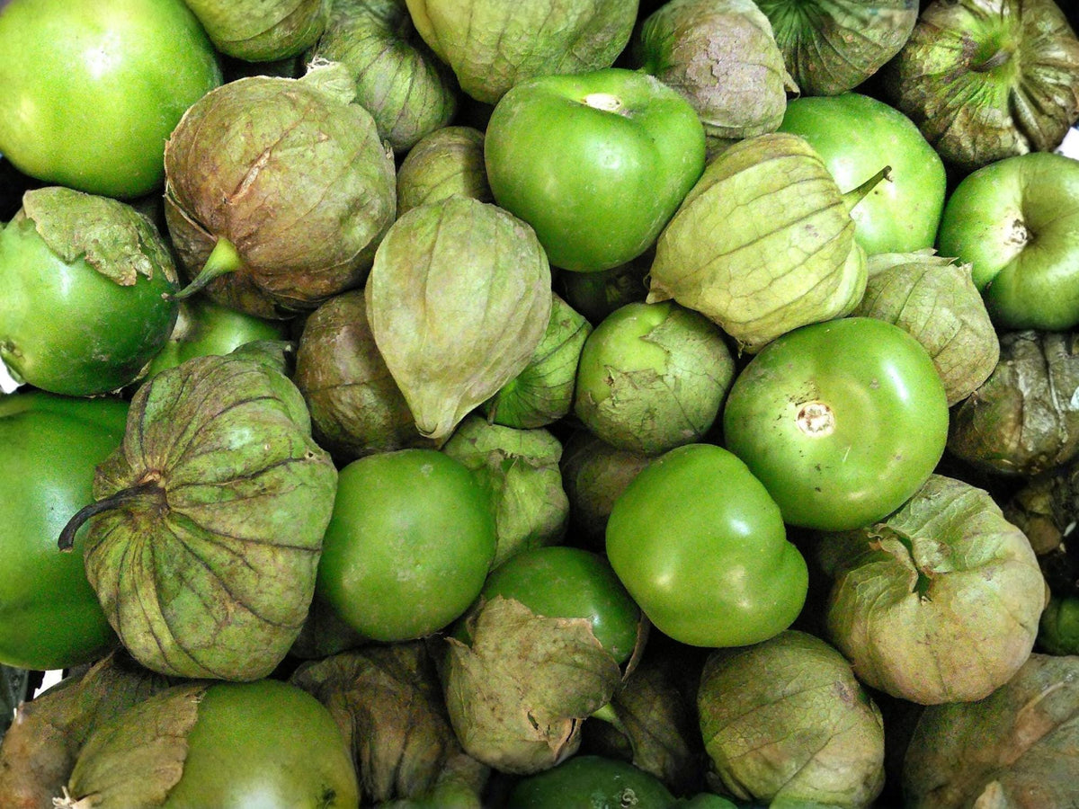 Tomatillo Verde Seeds – 30 Vegetable Seeds for Salsa Verde, Home Garden, Mexican Cooking, Bright Green Fruits