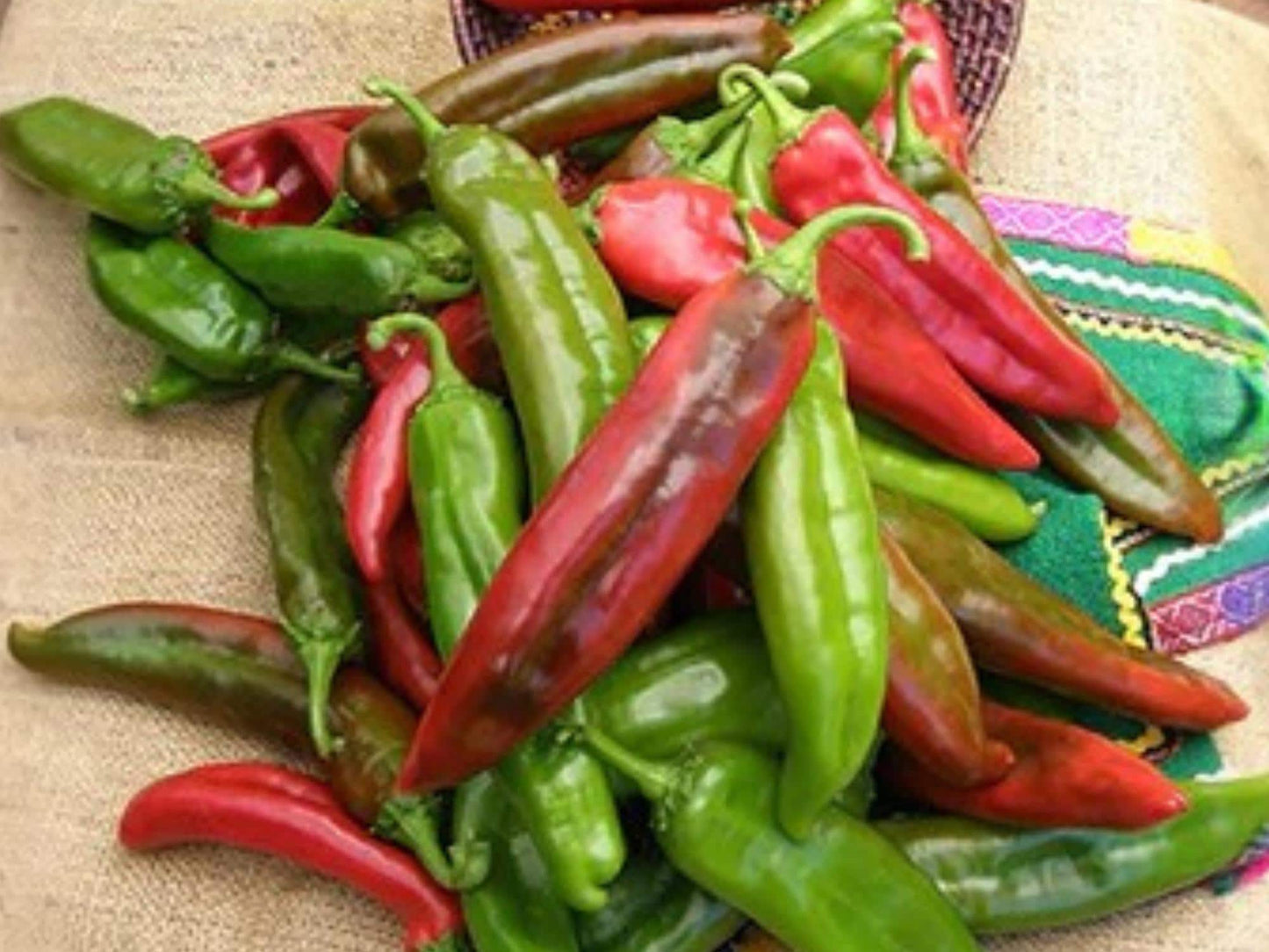 Ms. Junie Super Hot Pepper Seeds – Rare Caribbean Chili, Fruity Flavor, High Yield, Heirloom Vegetable, 50 Seeds
