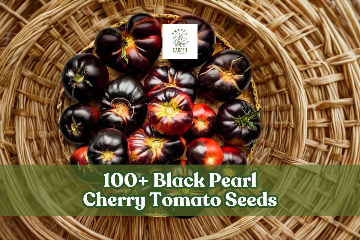 Black Pearl Cherry Tomato Seeds – 100+ Dark Heirloom Solanum lycopersicum for Containers & Gardens