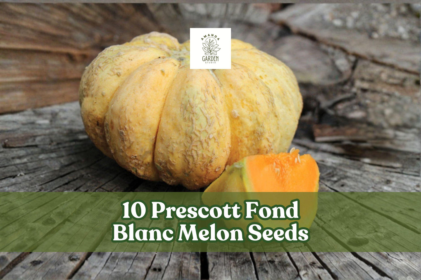 10 Prescott Fond Blanc Melon Seeds – Rare French Heirloom Cucumis melo, Ribbed Pumpkin-Like Exterior, Salmon-Orange Flesh