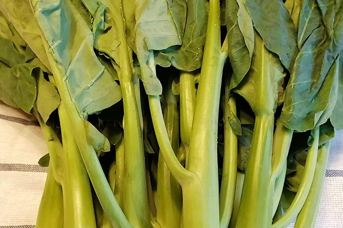 Wan Shen Kailan Chinese Broccoli Seeds - Heirloom Gai Lan, Open Pollinated, Tender Stems, Dark Green Leaves, 300 Seeds