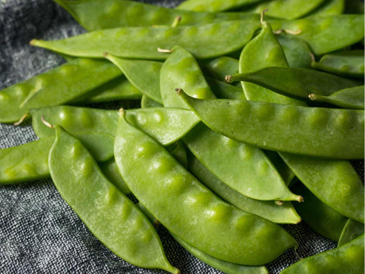 Dwarf Sugar Grey Snow Pea Seeds – Edible Pod, Compact Garden Variety, Non-GMO Pisum sativum