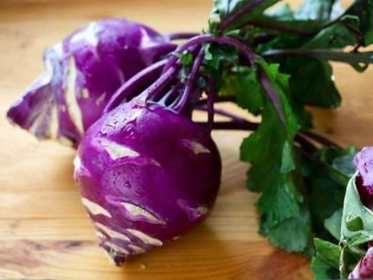 Purple Vienna Kohlrabi Seeds – Heirloom Vegetable, Sweet Garden Bulb, Edible Root, Organic, Cool-Season, 100 Seeds