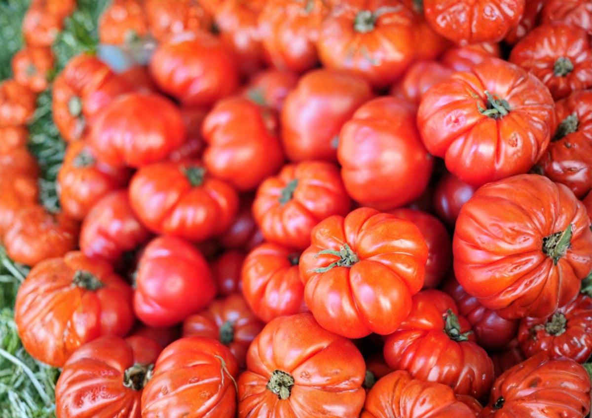Heirloom Beefsteak Tomato Seeds – Large Juicy Slicing Tomatoes for Garden, Heirloom Solanum lycopersicum