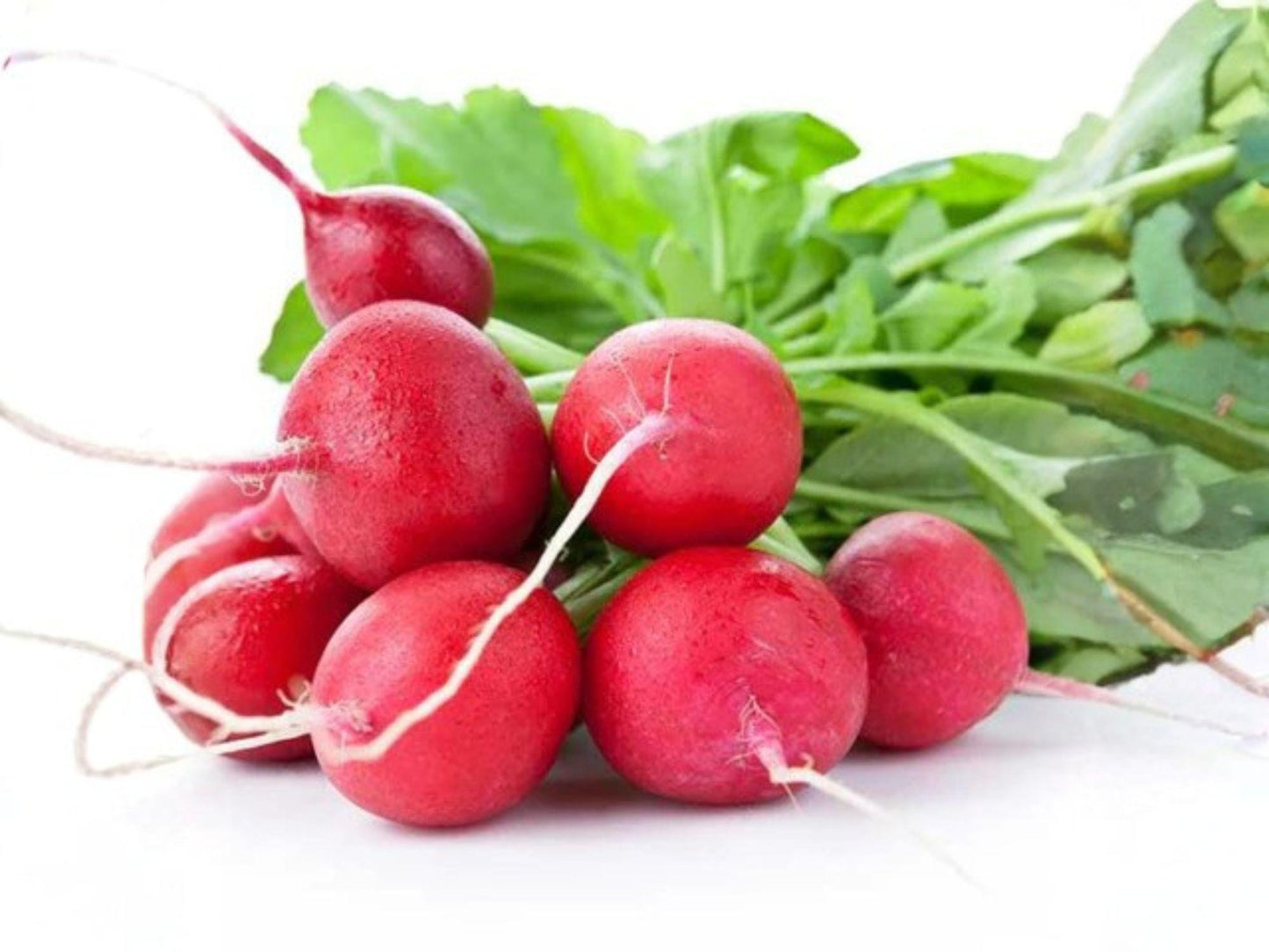 Heirloom Cherry Belle Radish Seeds – Fast Growing Vegetable, Bright Red, Crisp Flesh, 100 Seeds, Radish (Raphanus sativus)
