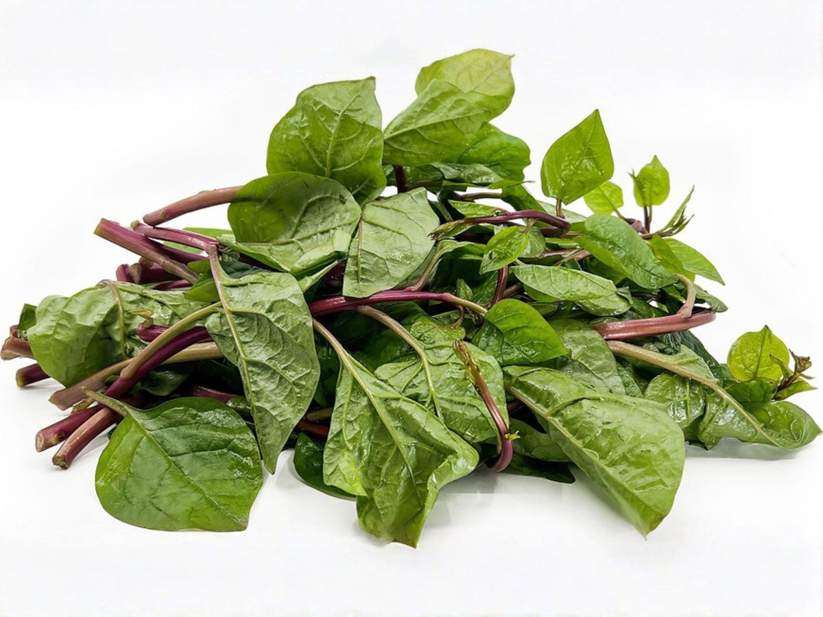 Red Stem Malabar Spinach Seeds – Heat Tolerant Climbing Green Vegetable, Basella rubra, 50 Seeds
