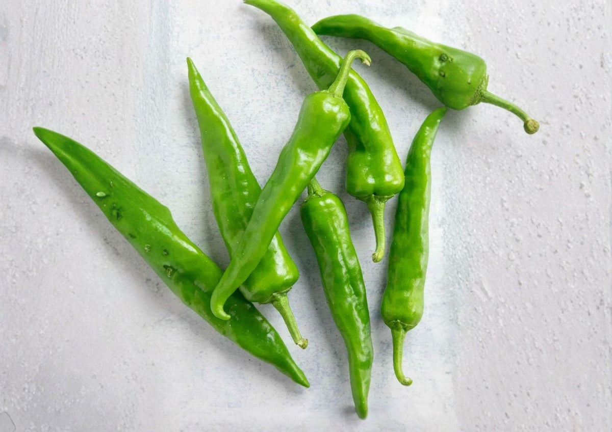 Hatch Giuzeppi Hot Pepper Seeds – 25 Heirloom New Mexico Green Red Chili for Roasting, Sauces, and Southwestern Cooking