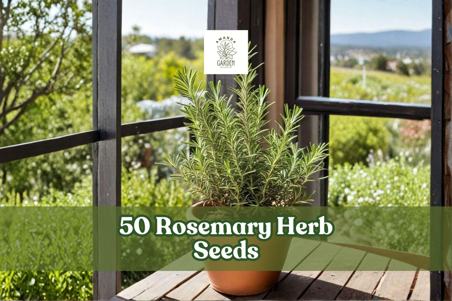 50 Rosemary Herb Seeds for Planting, Salvia rosmarinus, Evergreen Herb, Culinary & Ornamental Garden Plant