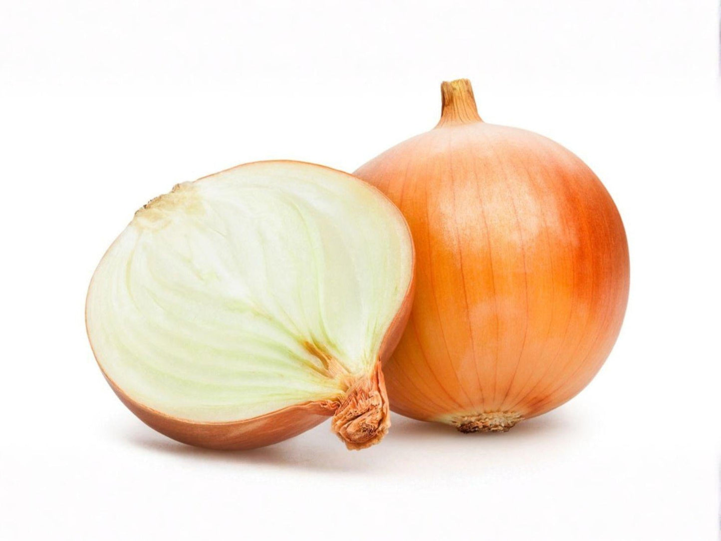Texas Grano 502 Onion Seeds – 50 Sweet Yellow Short-Day Garden Bulb Seeds for Slicing & Cooking