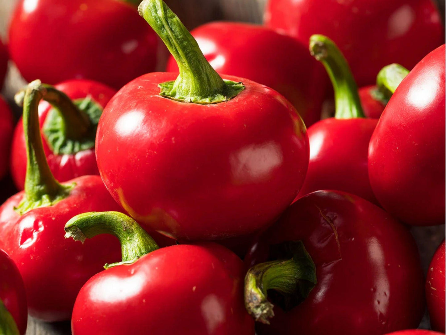 Large Cherry Hot Pepper Seeds – 25 Count, Round Pickling Chili, Globe-Shaped, Thick-Walled, Capsicum annuum for Pickling & Stuffing