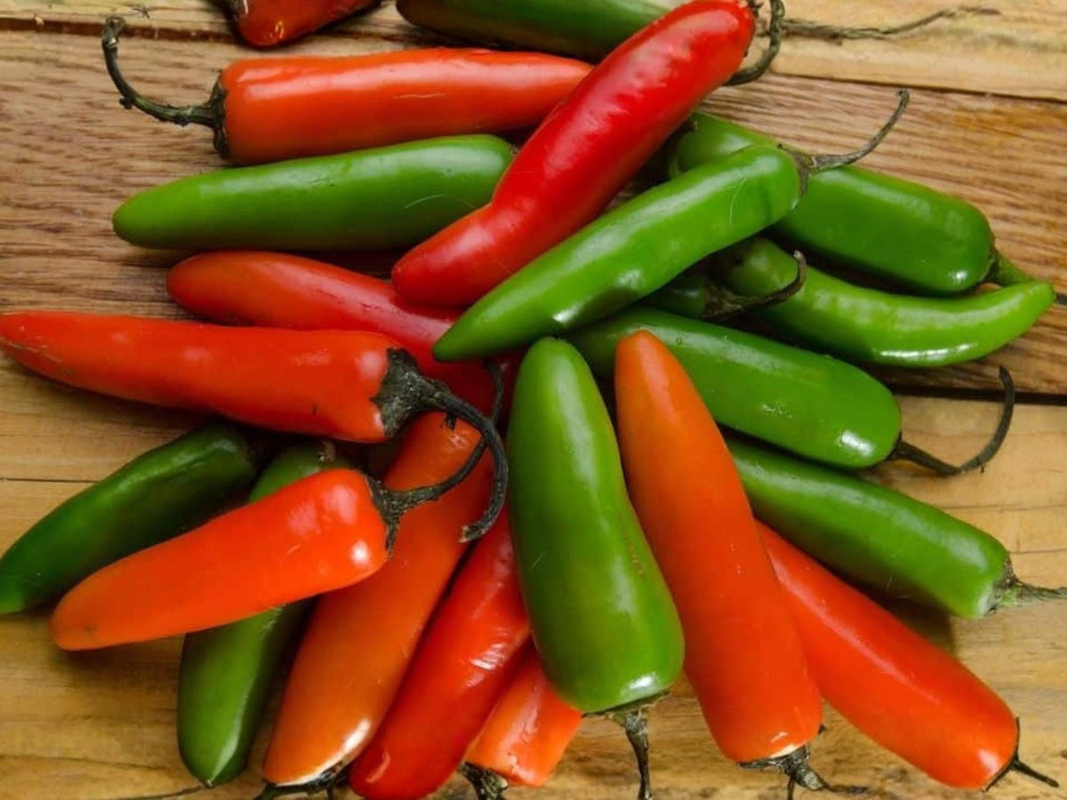 Serrano Tampiqueño Pepper Seeds – 25 Heirloom Hot Chili Seeds for Mexican Garden, Spicy Fresh Salsa & Hot Sauce, Compact Plant