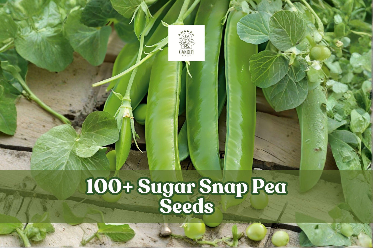 100+ Sugar Snap Pea Seeds Pisum sativum Climbing Vegetable for Garden, Sweet Crisp Pods, Cool Season Annual Plant