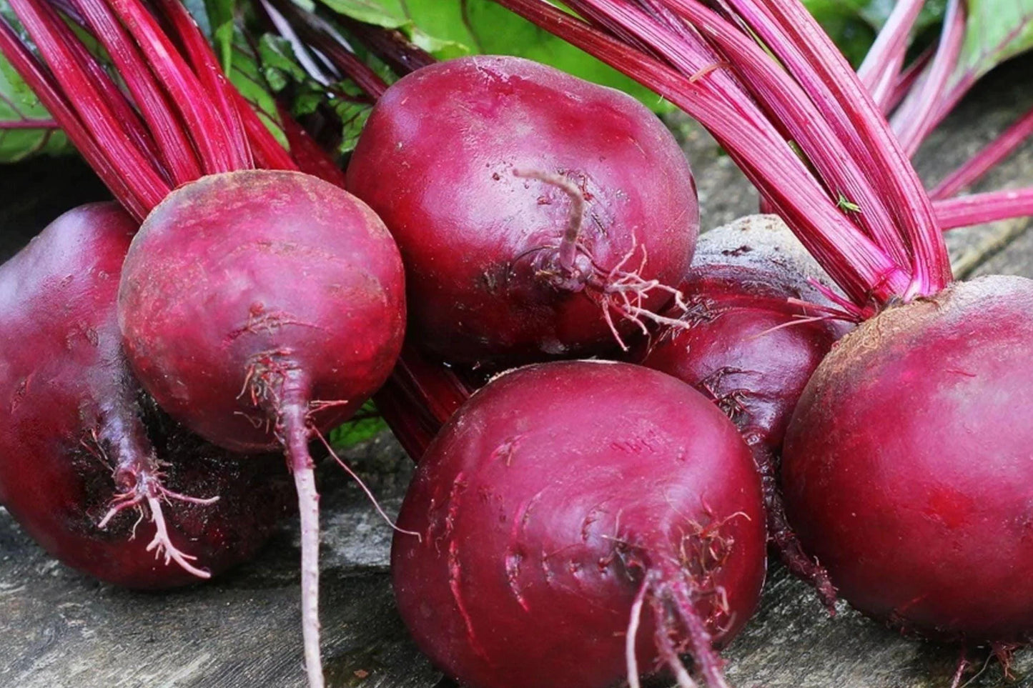 Detroit Dark Red Beet Seeds - 500 Heirloom Vegetable Seeds for Home Garden, Deep Red Roots, Sweet & Earthy Flavor, High Yield, Beta vulgaris