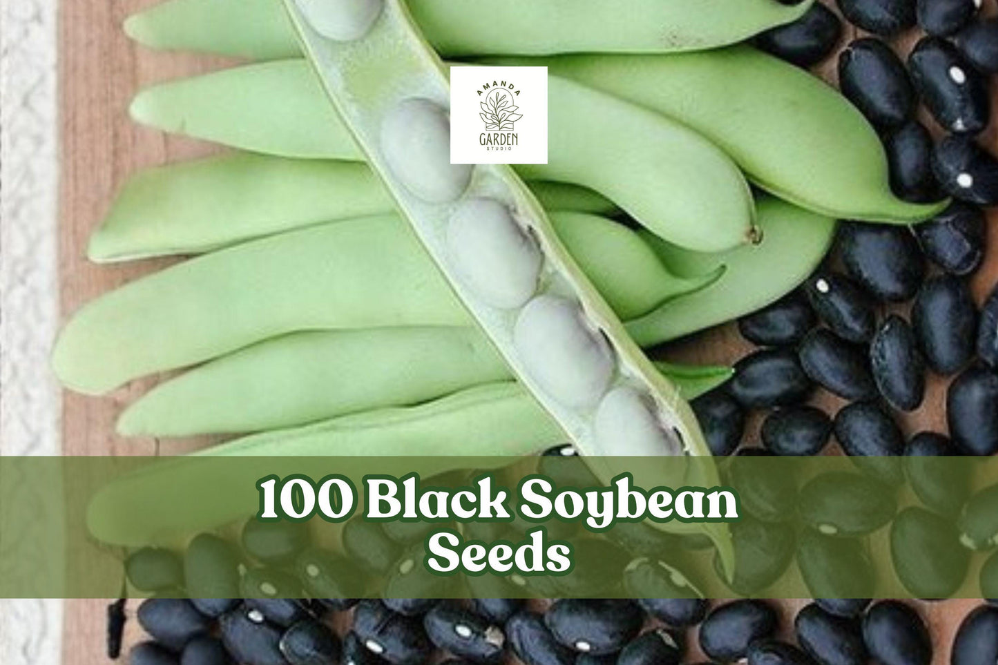 100 Black Soybean Seeds – Glycine max for Sprouting & Garden Planting, Non-GMO, Black Seeds