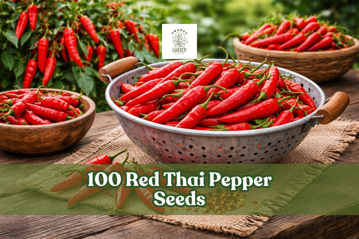 100 Red Thai Pepper Seeds – Hot Variety, Capsicum spp., Small Red Fruits, for Garden, Container, and Warm Climates