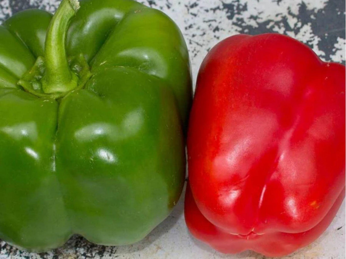 California Wonder 300 Sweet Bell Pepper Seeds – Non-GMO, Blocky, Thick-Walled, Green to Red, Capsicum annuum