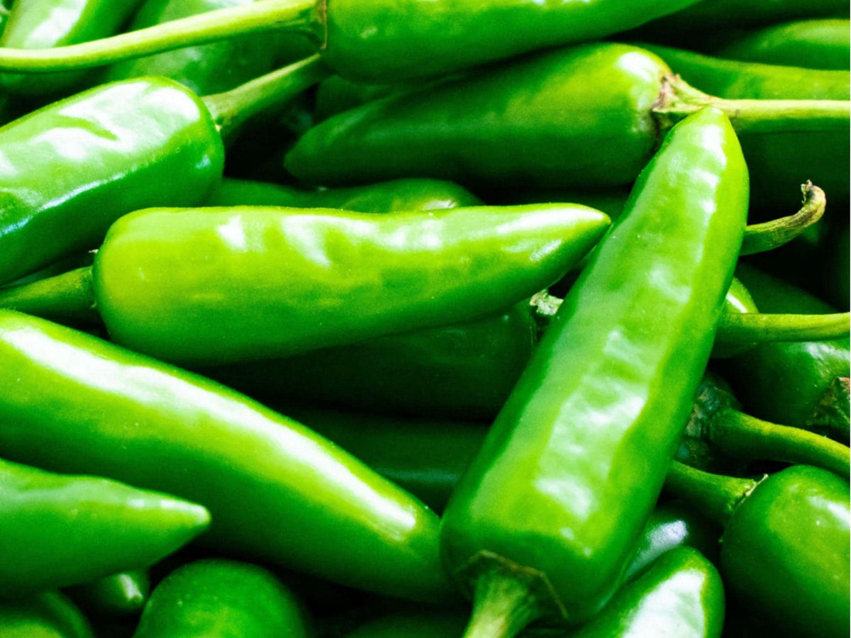 Anaheim Chili Pepper Seeds – Mild Hot Variety, Green to Red, 25 Non-GMO Seeds, Capsicum annuum for Roasting, Stuffing & Cooking