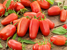 San Marzano Tomato Seeds – Indeterminate Heirloom Paste for Sauce & Canning – Authentic Italian Variety, Deep Red Plum, Thick Flesh, 30 Seeds