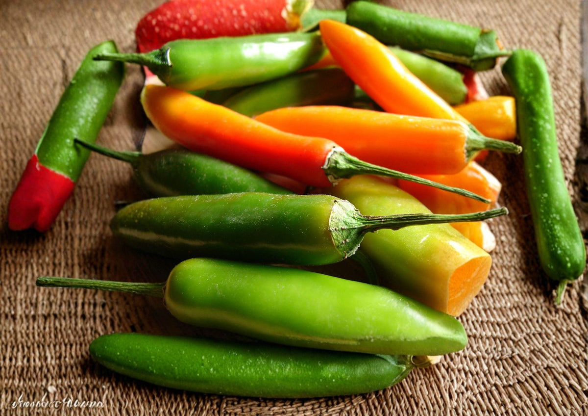 Heirloom Barker Hot Pepper Seeds – New Mexico Chili, Medium Heat, Garden Growing, 25 Seeds, Green Tapered Peppers, Capsicum annuum