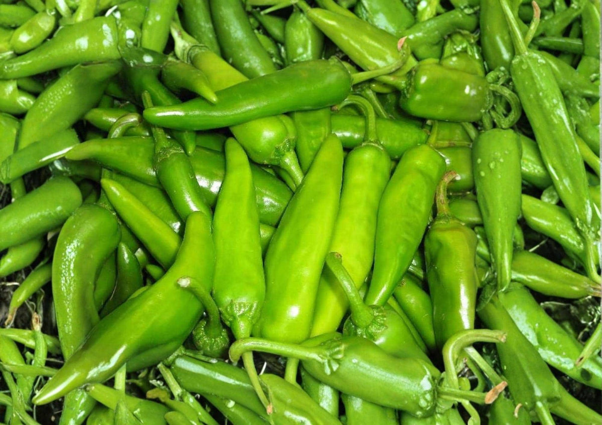 Lumbre Hot Pepper Seeds – 25 Heirloom Chili Seeds for Fiery Red Peppers, Garden Growing, Hot Sauce, Salsas, Drying