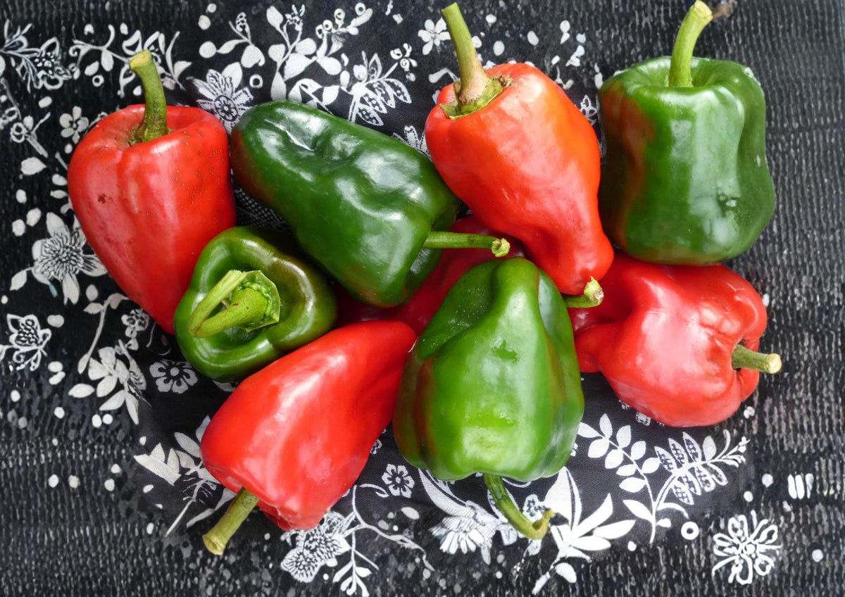 Ancho Poblano Pepper Seeds – Heirloom Mexican Chili Vegetable Garden Growers Pack, 25 Seeds