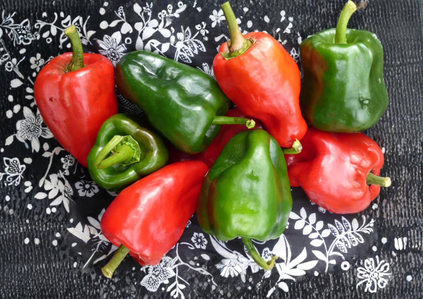 Ancho Poblano Pepper Seeds – Heirloom Mexican Chili Vegetable Garden Growing, 25 Seeds, Green to Red, Mild Heat