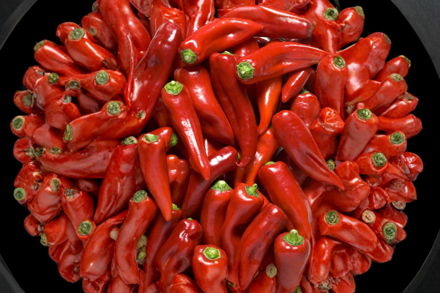 Sonora Mild Hot Pepper Seeds – Heirloom Mexican Chili, Capsicum annuum, Fresh, Mild Heat, Vegetable Garden, Container Planting