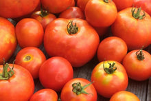 Rutgers Tomato Seeds – Heirloom Determinate Red Variety for Slicing, Canning, Home Gardens, Solanum lycopersicum