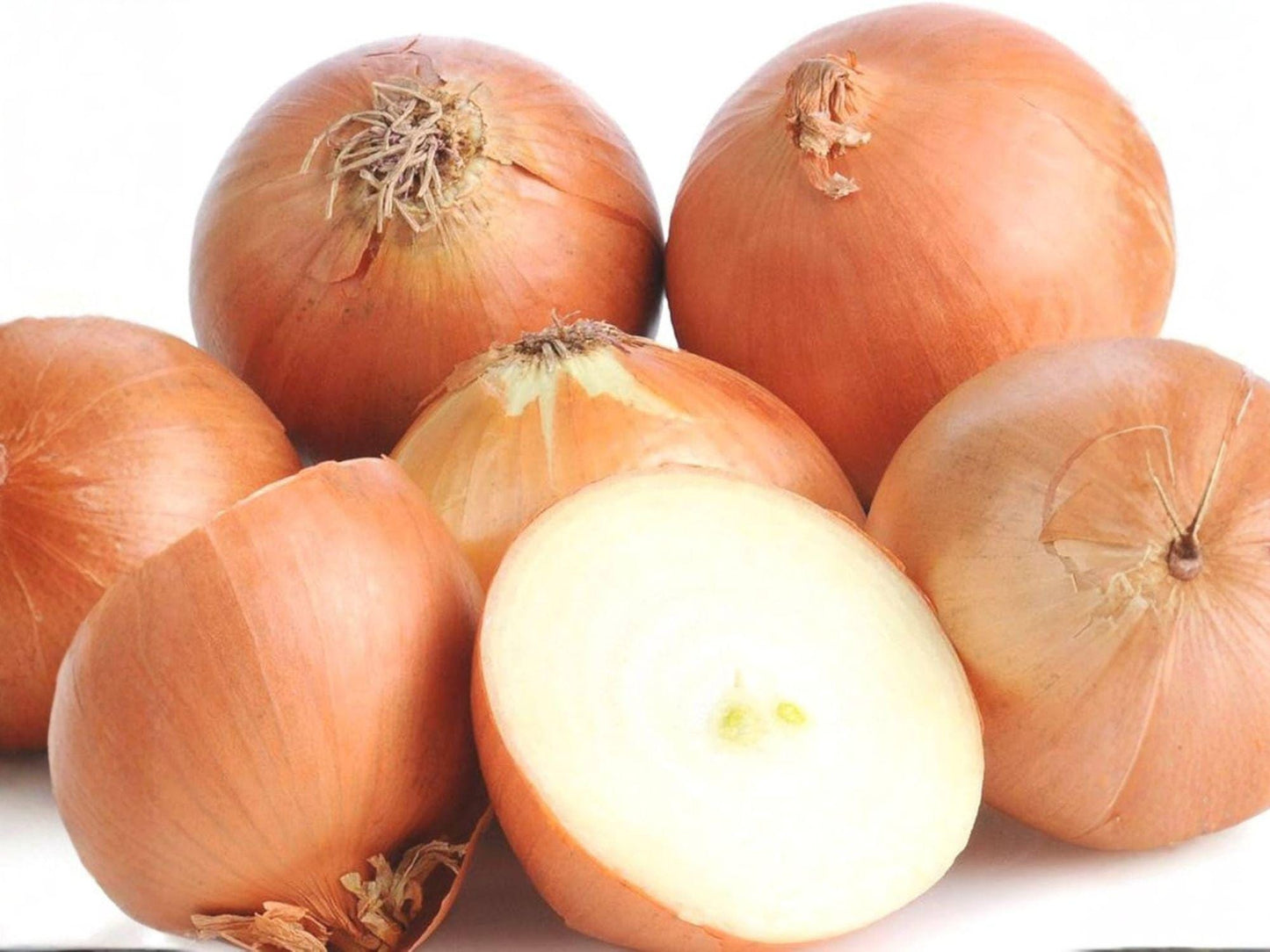 Sweet Spanish Colorado #6 Onion Seeds – 50 Large Yellow Storage Bulbs, Long-Day, Slicing & Cooking, Garden & Raised Bed Planting