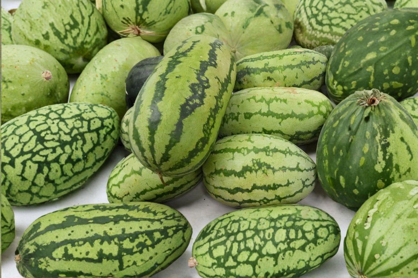 Congo Watermelon Seeds - Heirloom Organic Non-GMO Fruit Seeds for Summer Harvest, Citrullus lanatus