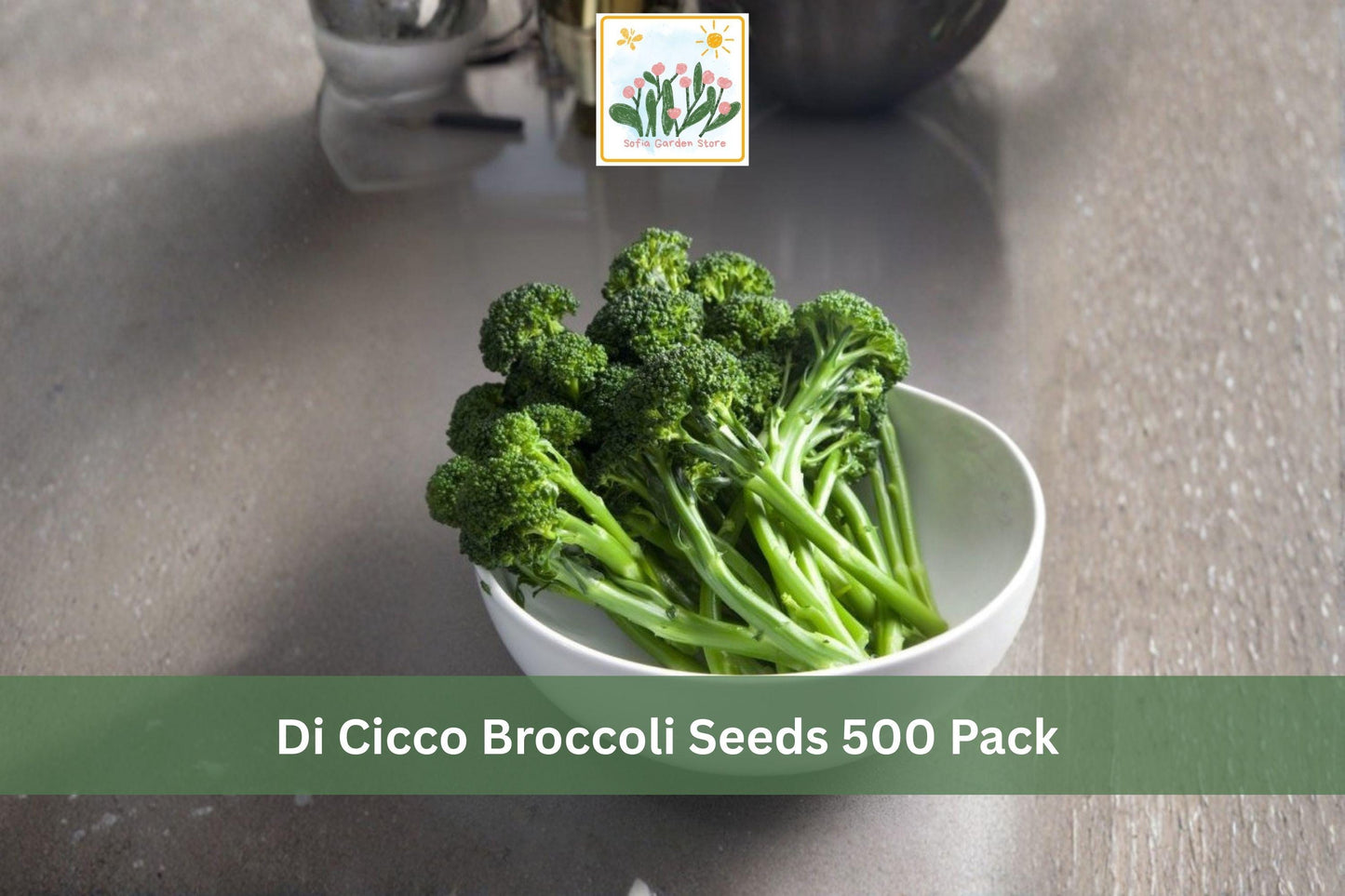Di Cicco Broccoli Seeds 500 Pack – Heirloom Brassica oleracea var. italica Vegetable Seeds for Cool Season Garden